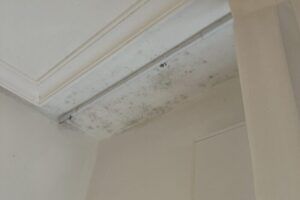 Deshumidificador para humedad por condensación: cómo elegirlo (m², ruido, drenaje y HR objetivo)